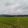 終了す。