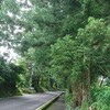 やはり梅雨時は今市散歩。
