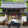 ボーイの季節