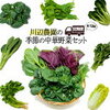 【ふるさと納税】中華野菜セット定期便も大当たりだった。