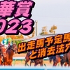 【秋華賞2023】出走馬予定馬データ分析と消去法予想