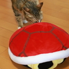 甲羅にビビる。