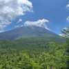 富士山周辺の探鳥（山梨）　②