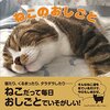 めっちゃキュートな寝顔❗️お昼寝中の" 猫団子 "にゃんこが可愛すぎる❗️🐈