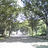 今日の駒沢公園