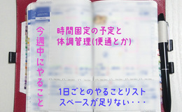 記事を見る