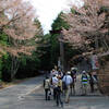 吉野の桜を見に行ってきたんですが・・・