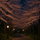 制作メモ：夜の御花見散歩〜百花夜蘅-不定調性ピアノ曲