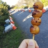 新河岸川サイクリングから行く、焼きだんご【うさぎ家】さんを紹介