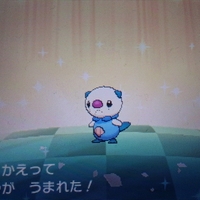色違い 国際孵化進化 ダイケンキ Usum キロの色違いポケモン図鑑ブログ