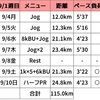 【週報】週間100km走りたい