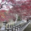 大山寺の枯紅葉