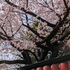 大事なお知らせ