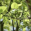 久しぶりの平和公園 里山歩き