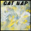 浅川マキ『CAT NAP』('82)