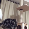 Instagram（インスタグラム）動画より