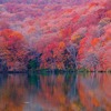 docker execでコンテナに接続と同時に実行させたい処理を複数ヒアドキュメントで渡せるっぽい話