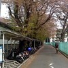 葉桜日記・4月6日(土)曇り～雨