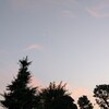 夏夏夏