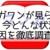 マンガワンが見られない？今どんな状況？原因を徹底調査！