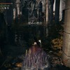 ELDEN RINGプレイ日記#98「慰めの教会と火に焼かれた廃墟近辺を探索」