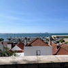 【リスボン発の旅】電車で1時間、港町セトゥーバルへ〜Setúbal, Portugal🇵🇹