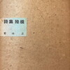 陸橋　菊池正詩集