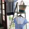 2号店にてShara登場