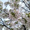 火曜日、晴れ