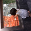 3歳児と東京タワー