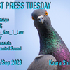 2023.9.12(TUE) Test Press Tuesday @ DJ BAR KOARA