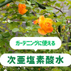 ガーデニングにも使える次亜塩素酸水