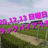 2020,12,13 日曜日 トラックバイアス結果 (中山競馬場、阪神競馬場、中京競馬場)