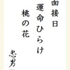 面接日運命ひらけ桃の花