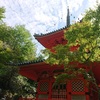 まさかの広島遠征ひとり旅行⑦（癒しの三瀧寺）