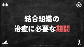 組織の治癒に必要な期間｜靭帯・腱・骨・軟骨