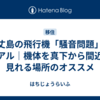 八丈島の飛行機「騒音問題」のリアル｜機体を真下から間近で見れる場所のオススメ