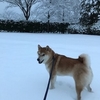 今年は「離」の年