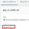 【AWS】Cloud9からECS ExecでFargateのコンテナにアクセスする