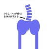 腰痛の歪みって具体的にどんなの？（３）