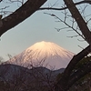 今日の富士山～カワセミ発見