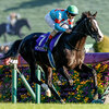 競馬初心者必見☆馬券予想🔥〜天皇賞・秋〜三冠牝馬が得意の舞台で実力を発揮する！
