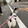 一日坊主の予感