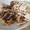 臼井食鳥の鶏刺し