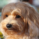 shuntaroのボヤキ