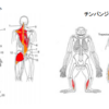 筋トレが続かない理由〜ハーバード大学が明らかにした答えとは？