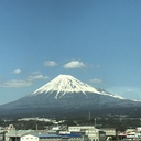 とり日記〜知識や楽しみシェアしよう〜