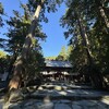 芸事、まっすぐに、ひたむきに。　～三重県鈴鹿市・椿大神社　参拝記