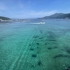 四国一周サイクリング｜【8日目 柏島〜宇和島】