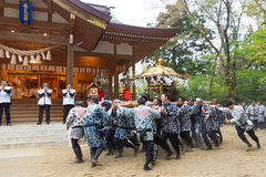 文字通りの「堂々巡り」　みこしが社殿をぐるぐる　春日神社の春季例大祭伝統行事